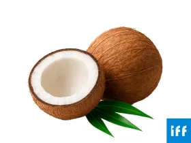 COCONUT FLAVOR IFF - CIG