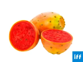 SABRES (CACTUS) FLAVOR IFF - CIG