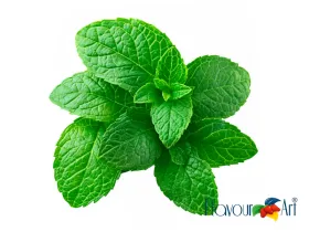PEPPERMINT FLAVOR FLAVOURART - CIG