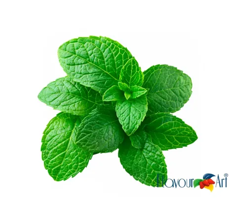 PEPPERMINT FLAVOR FLAVOURART - CIG